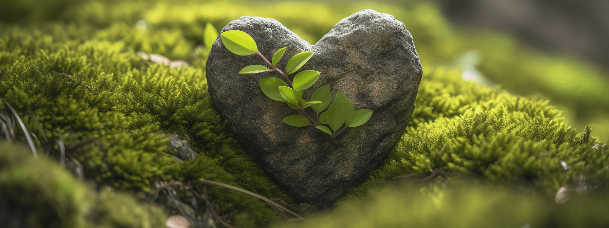 Nông dân sản xuất xanh