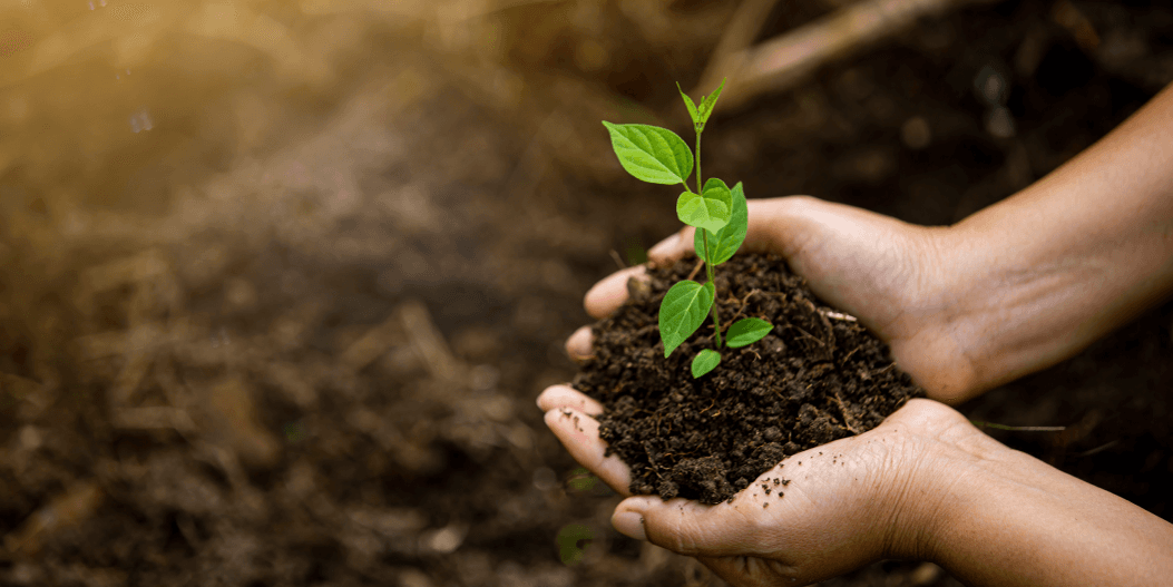 Thiện nguyện Pá Hẹ